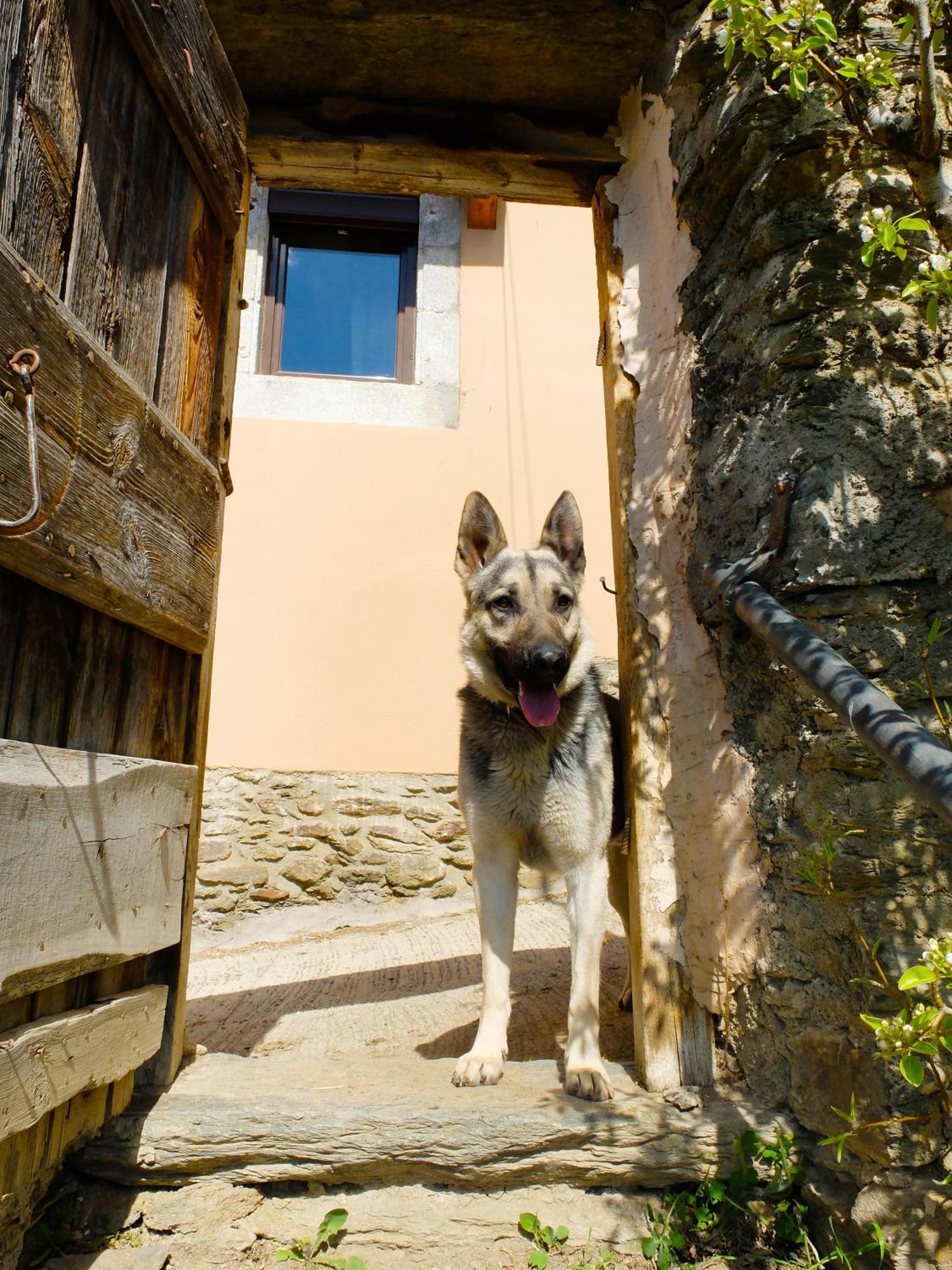 Cal Pascual Guest House Les Pereres Luaran gambar